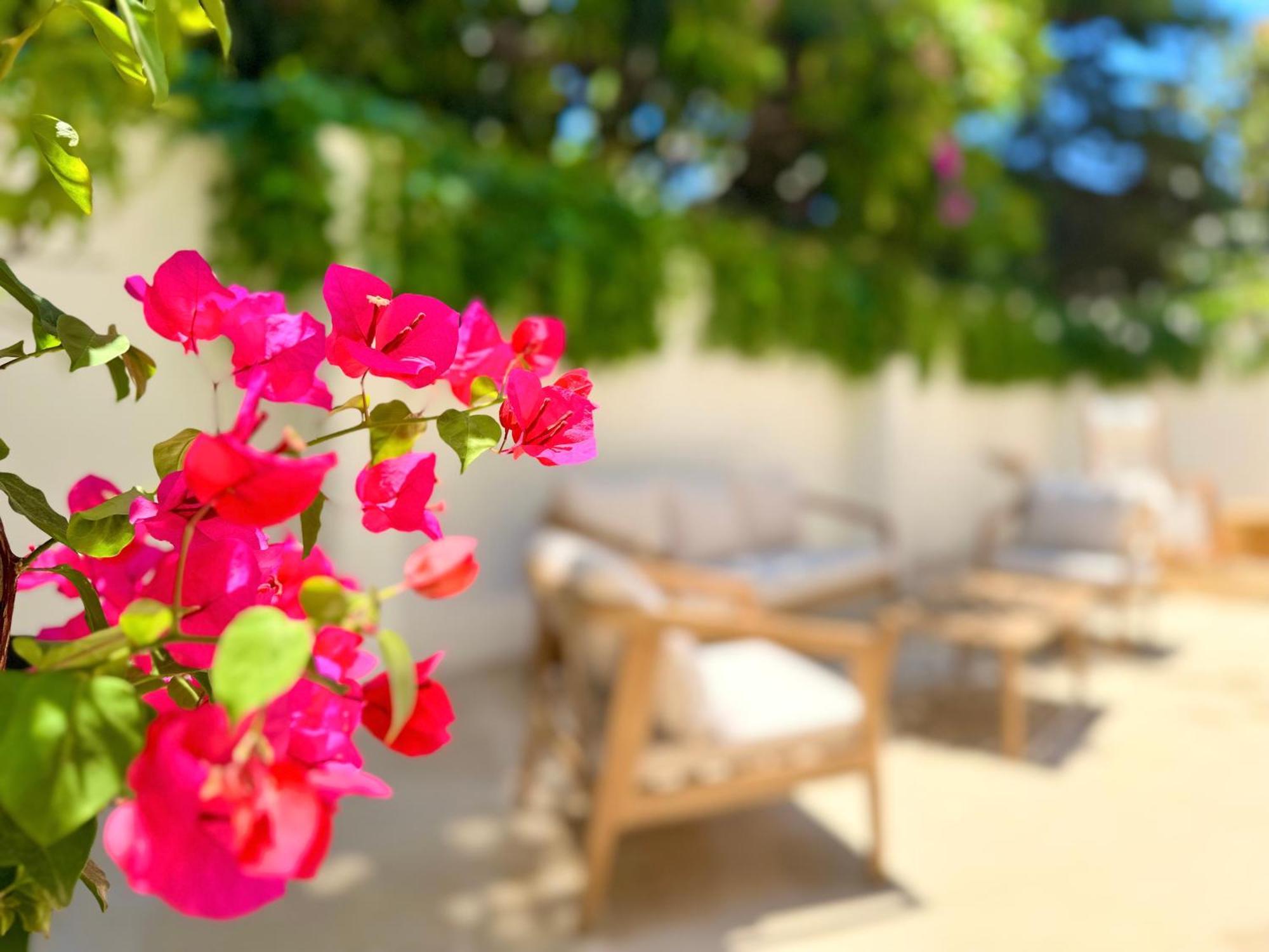 Carbone XXI Bed & Breakfast Catania Exterior photo